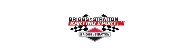 Projekt logotypu dla spółki Briggs - Stratton